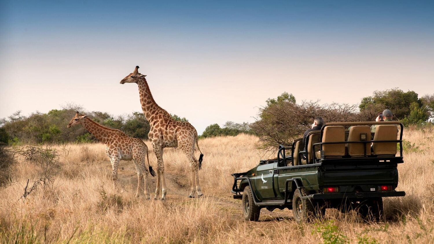 PlaceholderImage1302